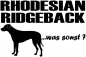 Preview: Aufkleber "Rhodesian Ridgeback ...was sonst?"